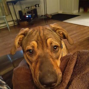 Meet your Posher, Christina